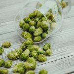 San Diego: Buy Hops or Grow Your Own?
